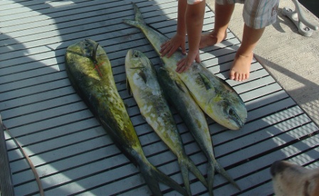 hot_shot_charters_050_3.jpg